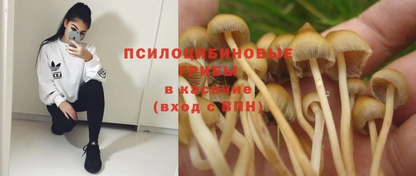 герыч Бугульма