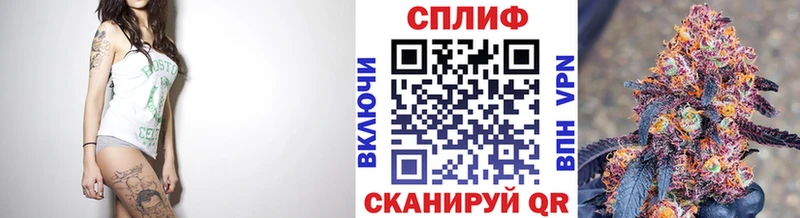 Бошки Шишки планчик  Новороссийск 